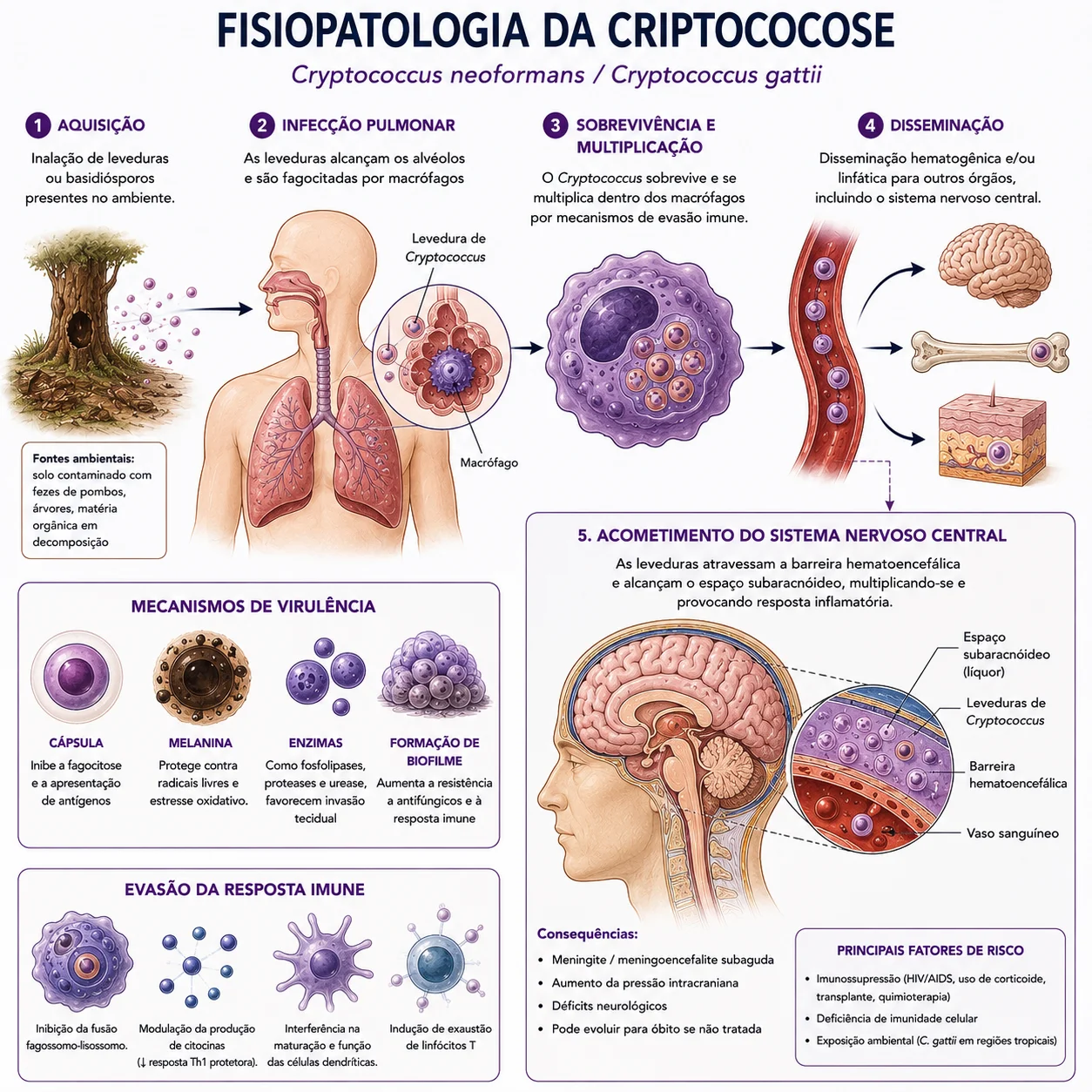 Fisiopatologia da criptococose