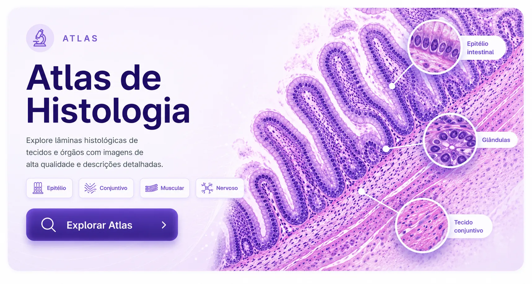 Atlas de Histologia