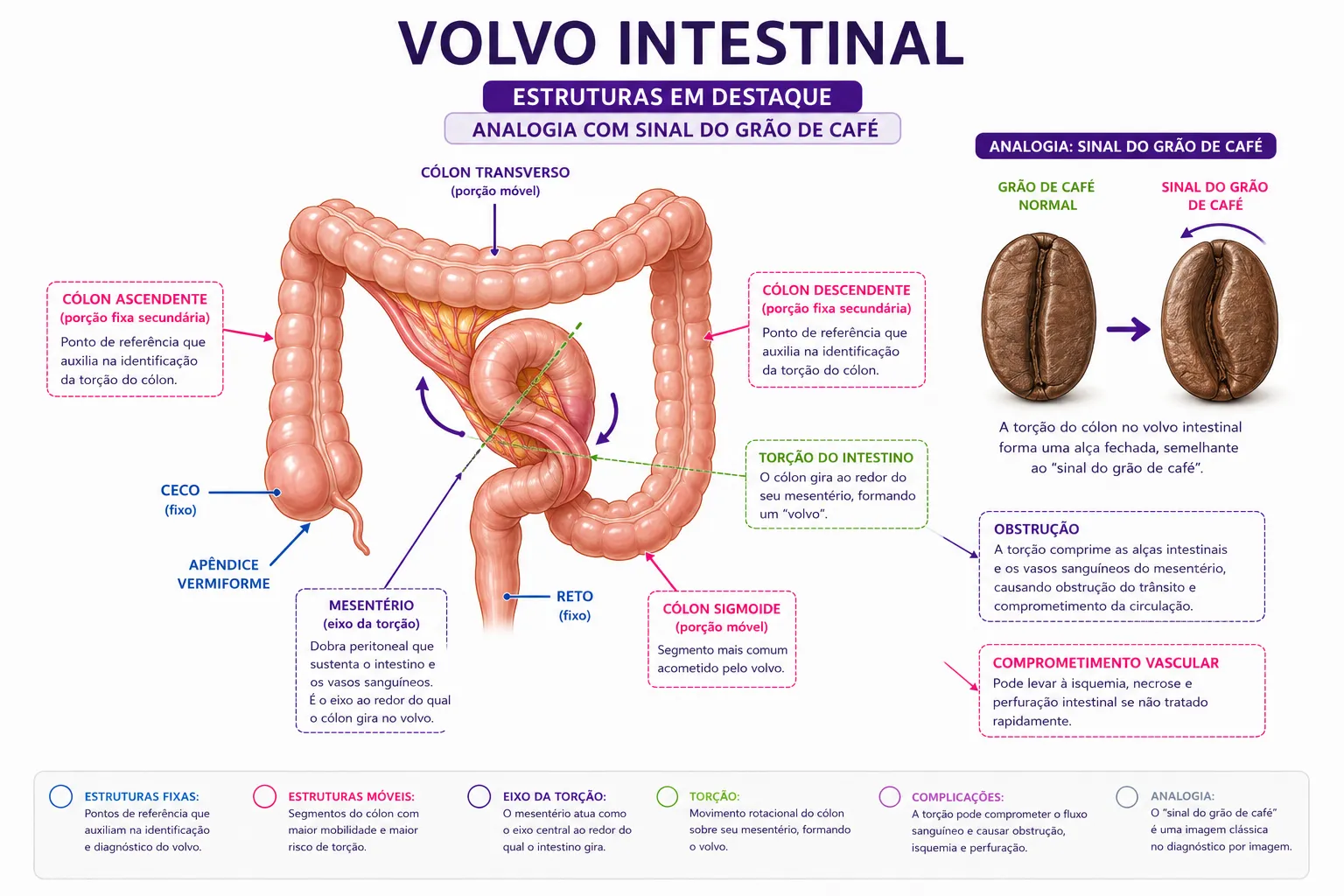 Estrutura em destaque no vólvulo