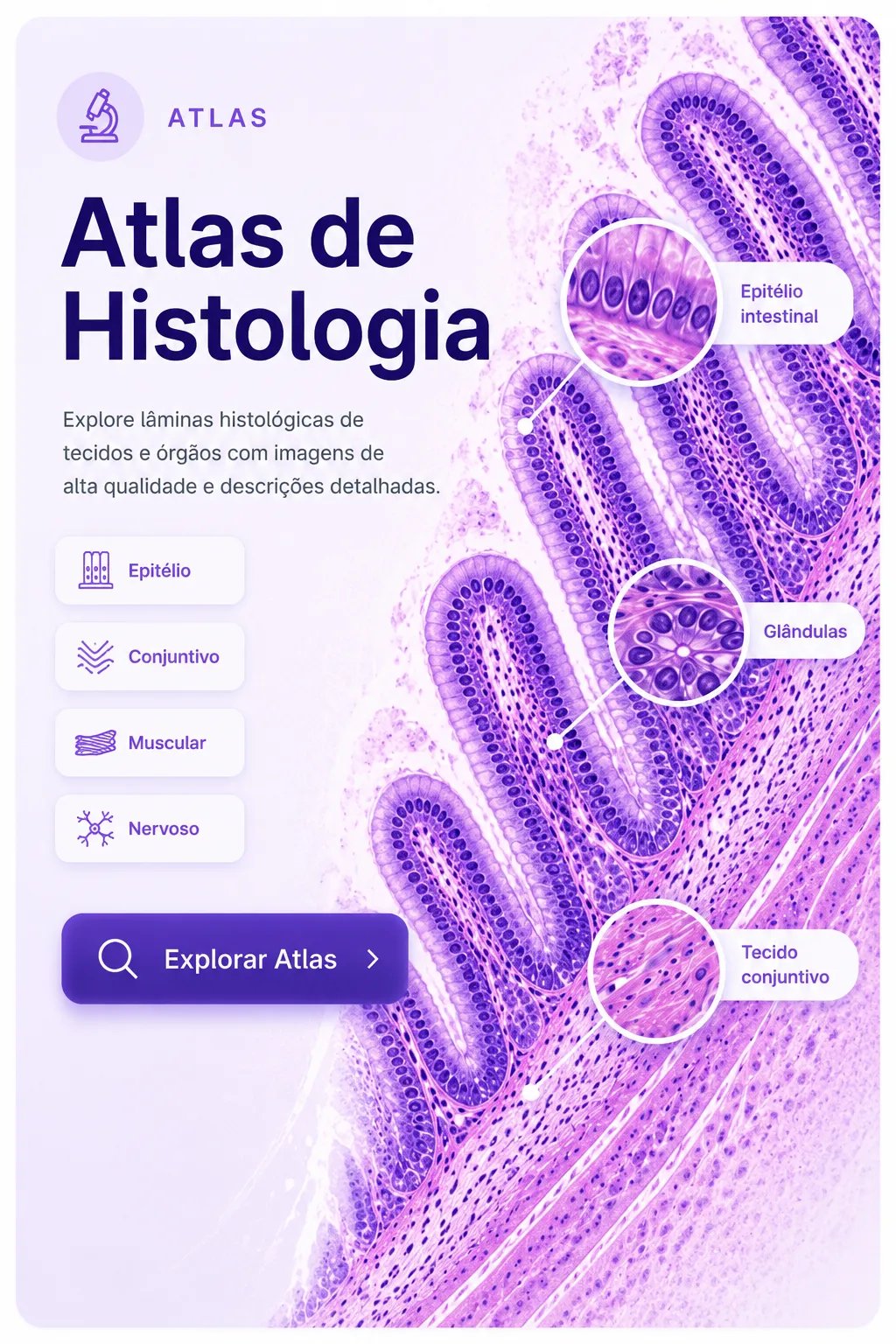 Atlas de Histologia
