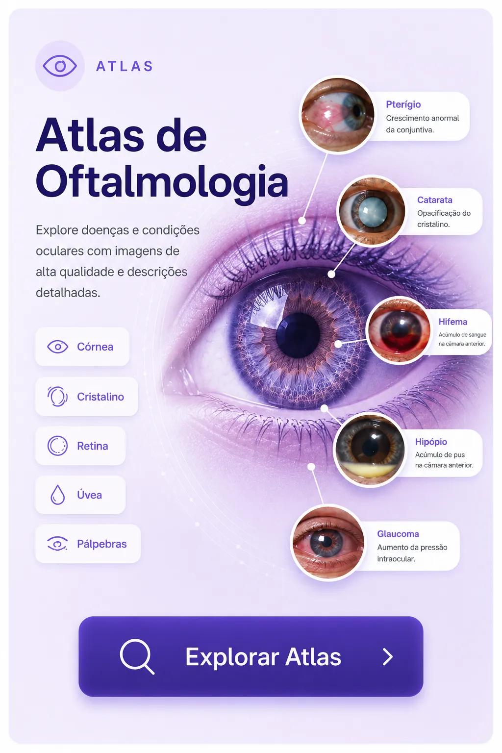 Atlas de Oftalmologia