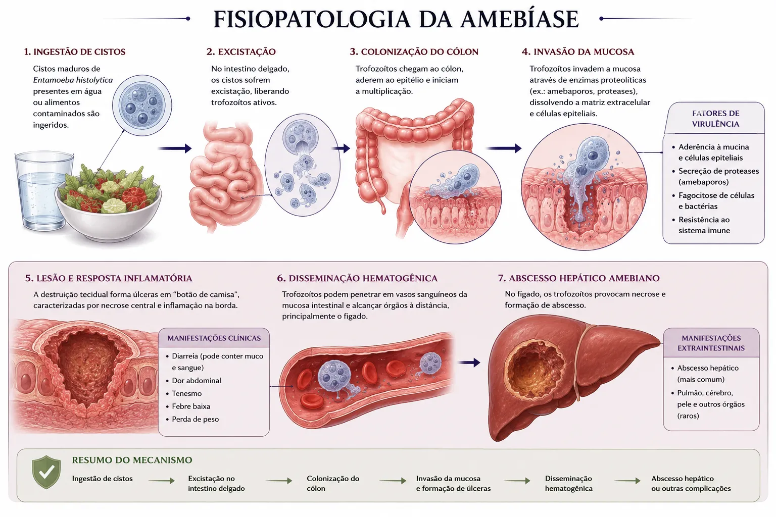 Fisiopatologia da amebíase