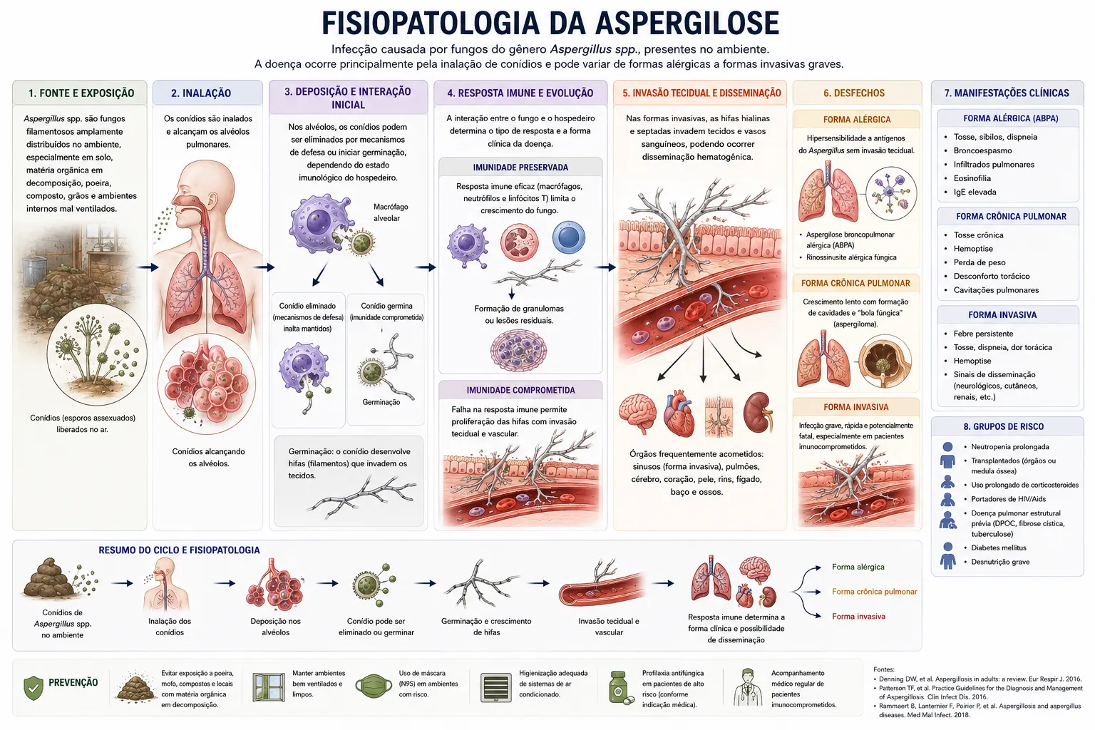 Fisiopatologia da aspergilose