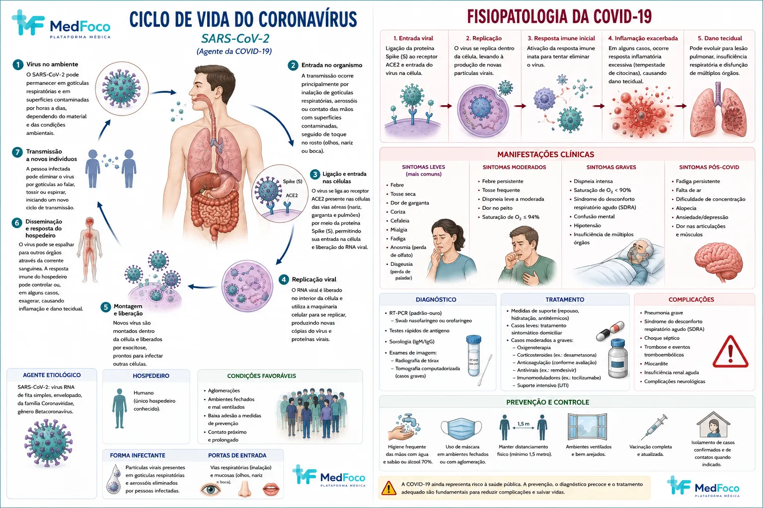 Fisiopatologia da infecção pelo SARS-CoV-2