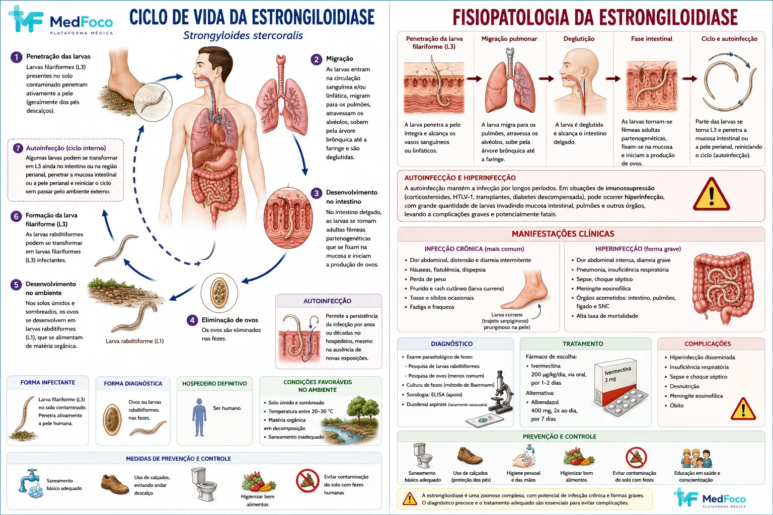 Ciclo de vida e fisiopatologia da estrongiloidíase