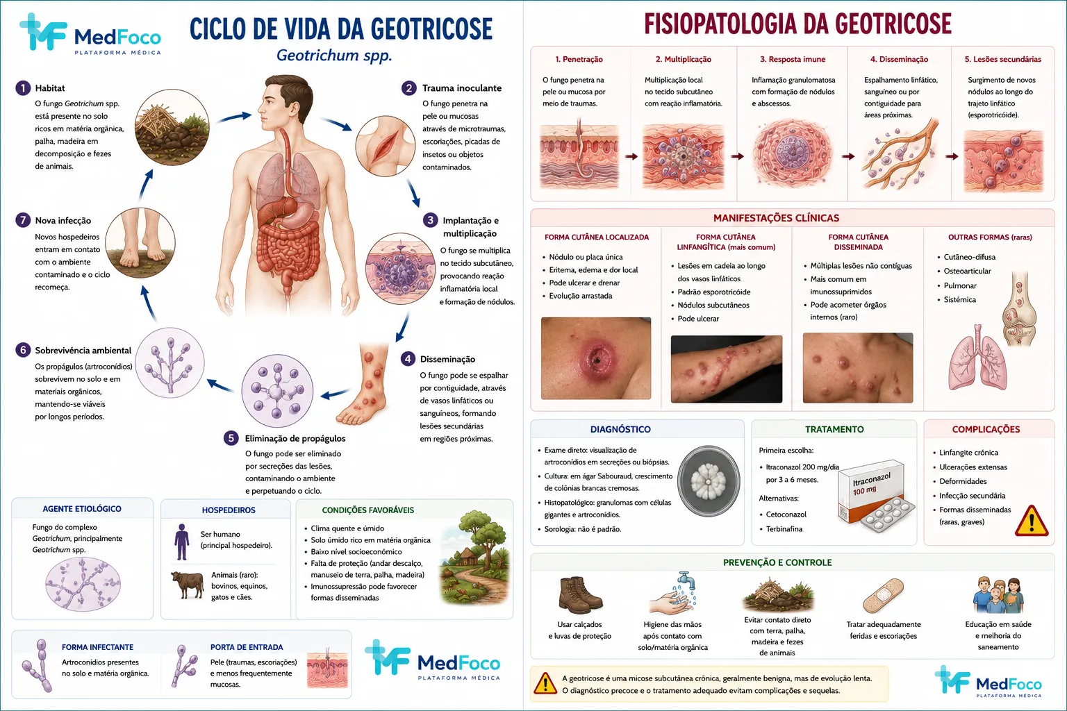 Fisiopatologia da geotricose